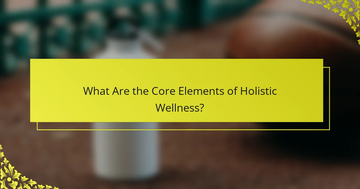 What Are the Core Elements of Holistic Wellness?